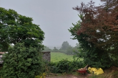Al dagen regen