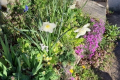bloemenpracht