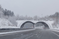 net wintersport