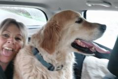 hijgende honden achterin