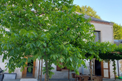 Moulin Ecurades