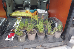 plantjes van Rob en Mo