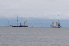 IJsselmeer